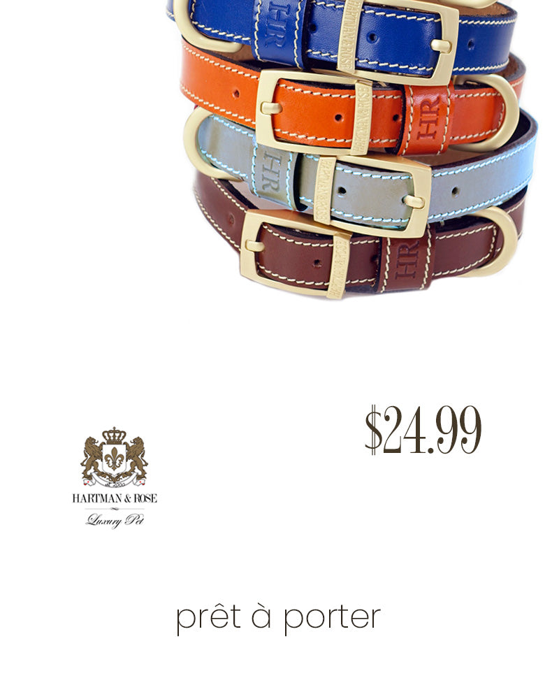 Prêt-à-Porter Luxury Dog Collars