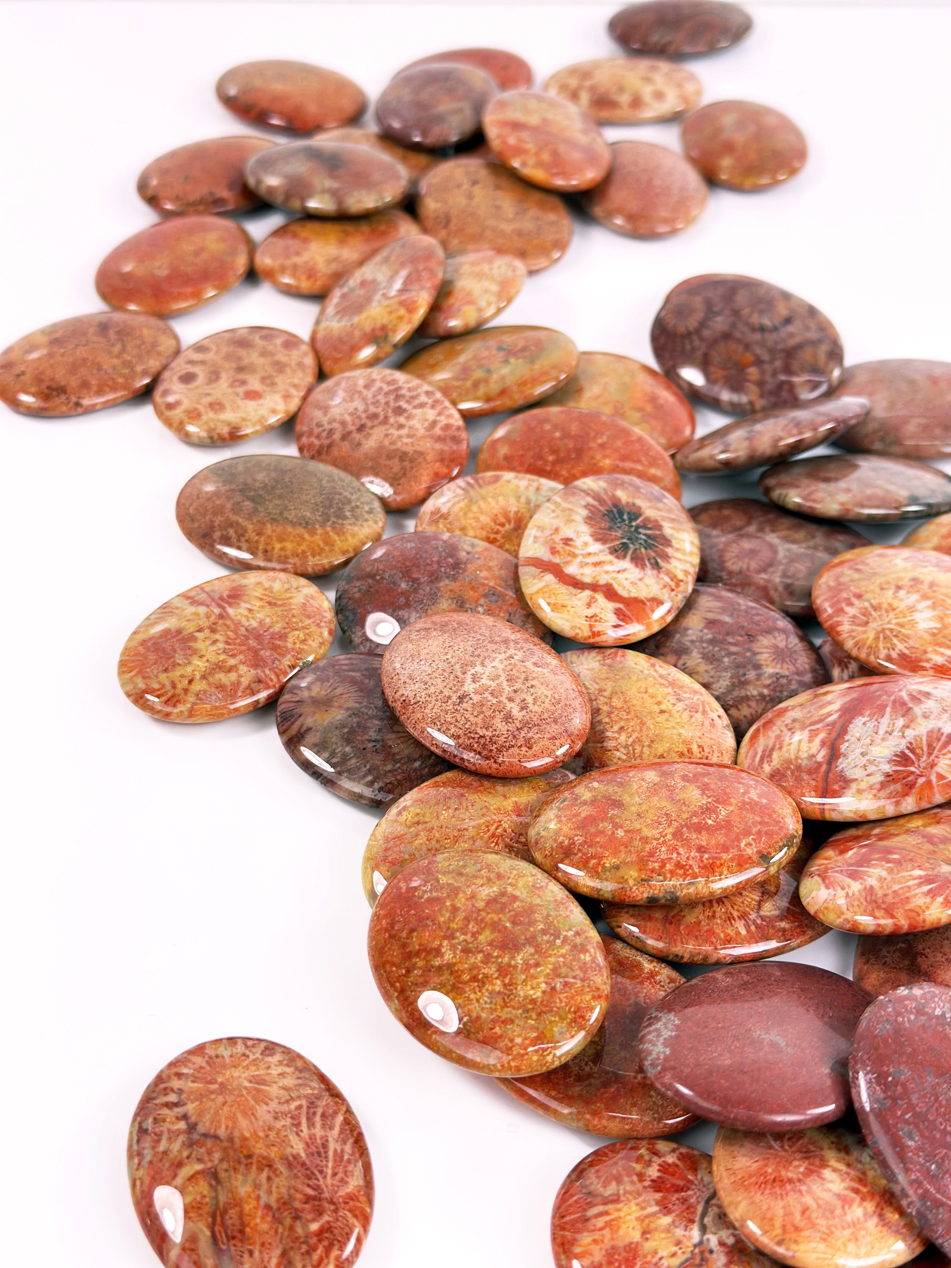 Red Fossil Coral 30x40mm Smooth Oval