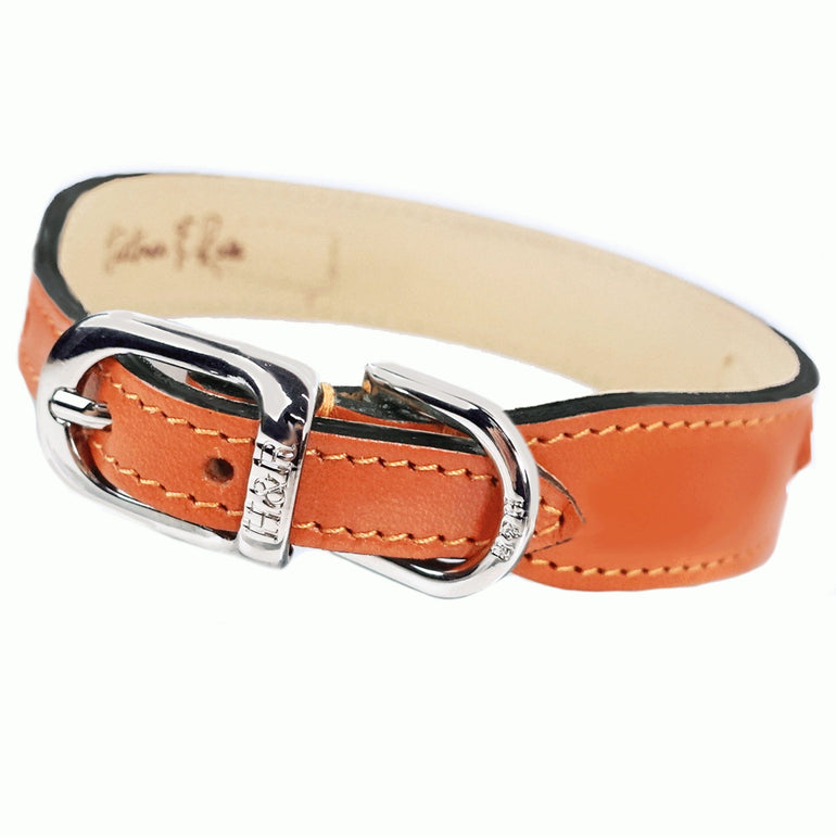 After Eight in Tangerine