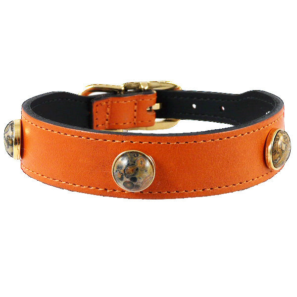 Au Naturale Dog Collar in Burnt Orange & Jasper