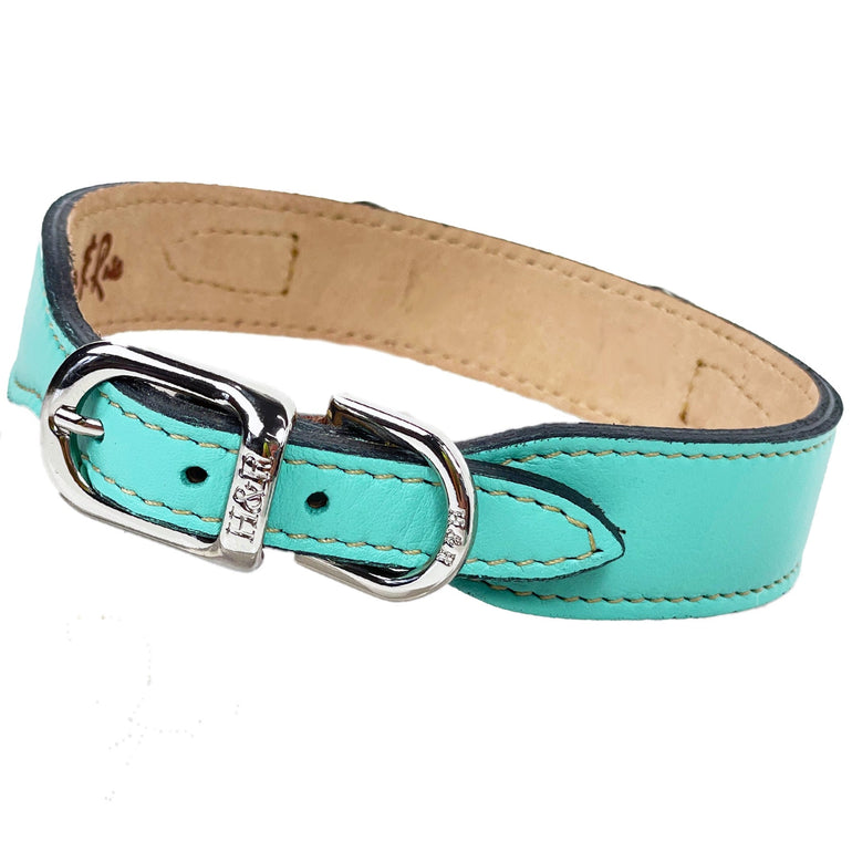 Belmont in Turquoise & Nickel