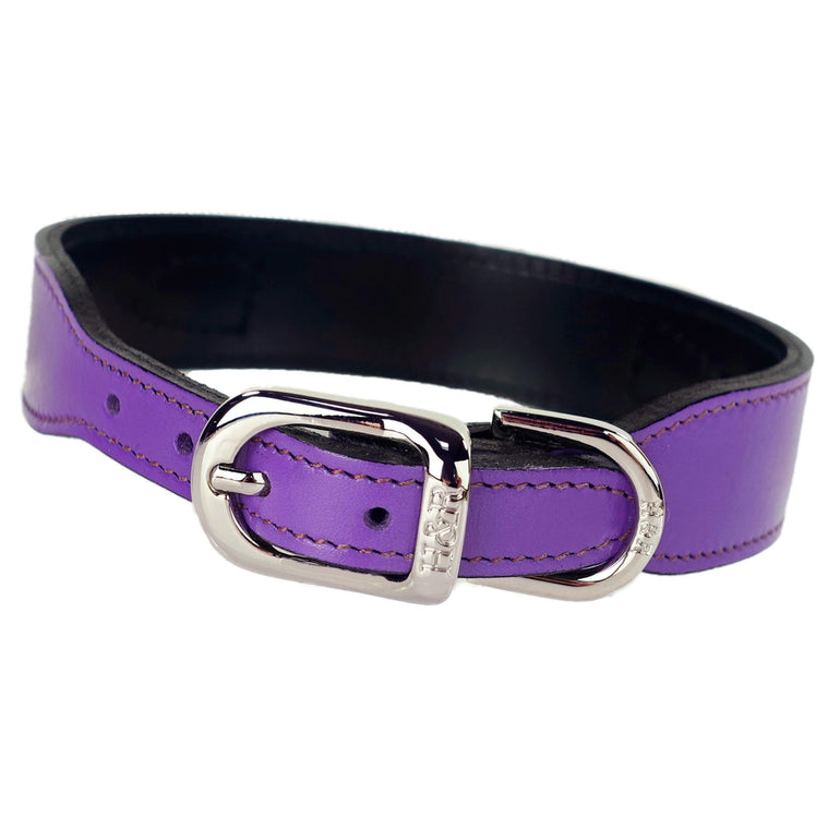 Barclay in Lavender
