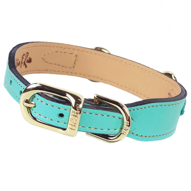 Belmont in Turquoise & Gold