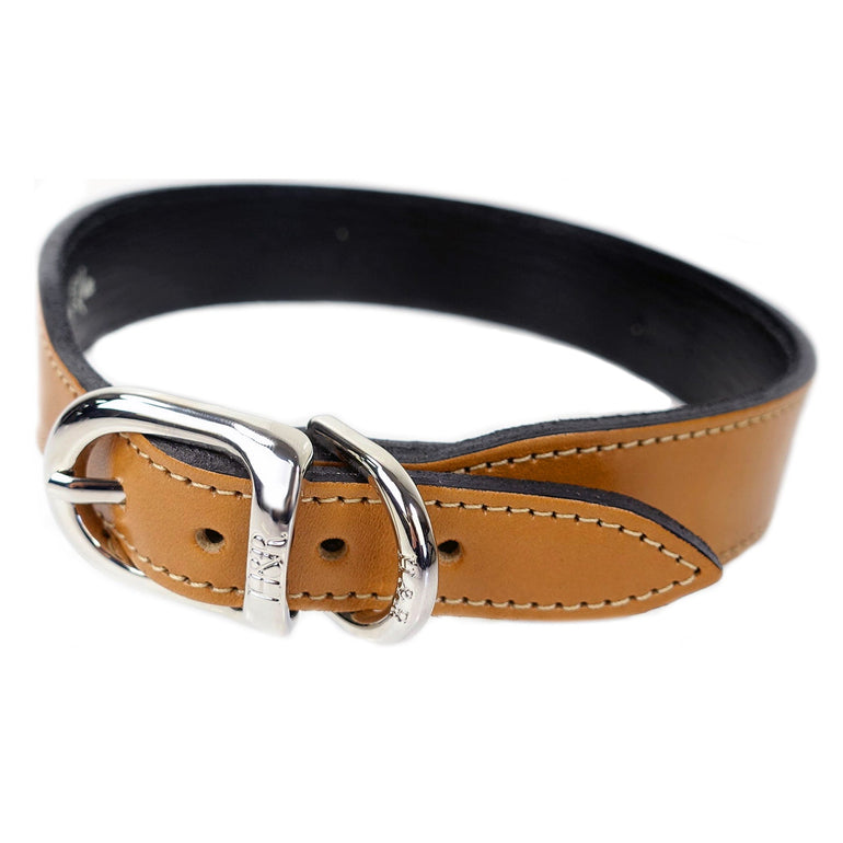 Belmont in Buckskin & Nickel