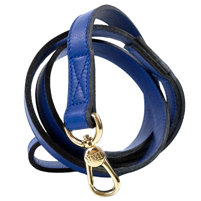 Leap Frog Lead in Cobalt Blue