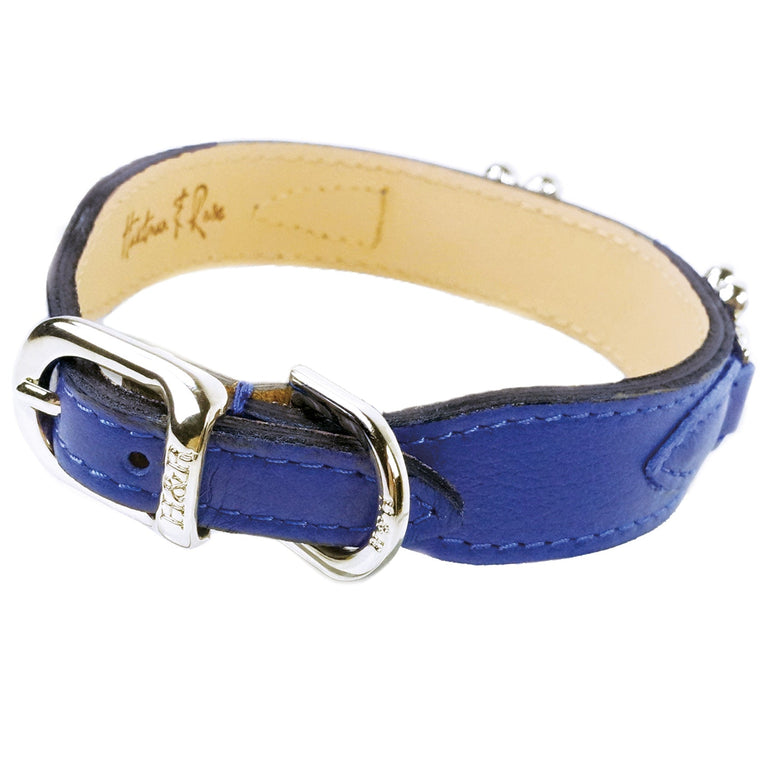 Daisy in Cobalt Blue & Nickel