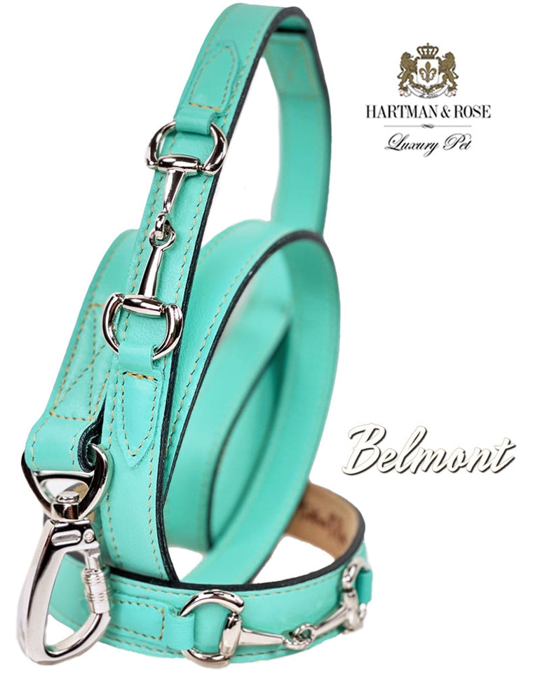 Belmont in Turquoise & Nickel