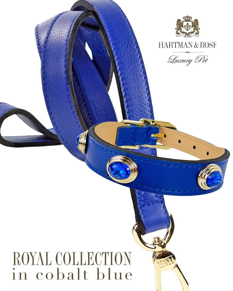 Royal in Cobalt Blue