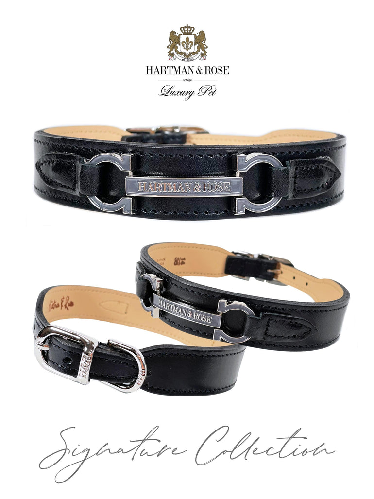 Signature in Jet Black & Nickel