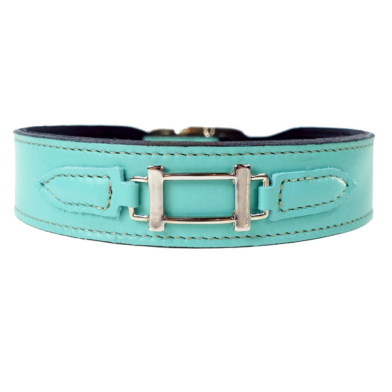 Hamilton in Turquoise