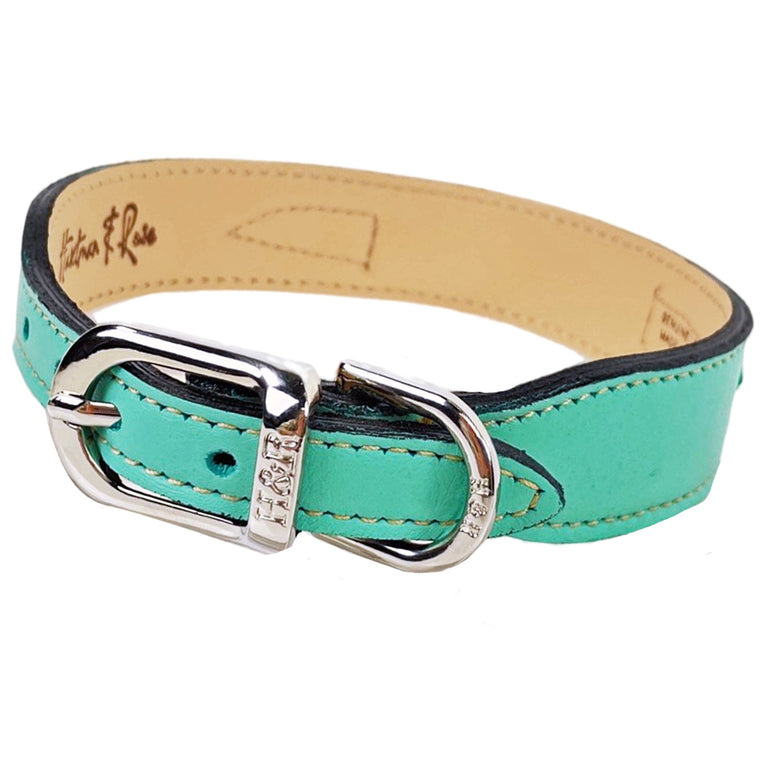Hartman in Turquoise & Nickel