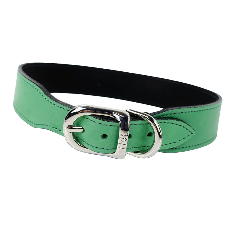 Hamilton in Kelly Green & Nickel