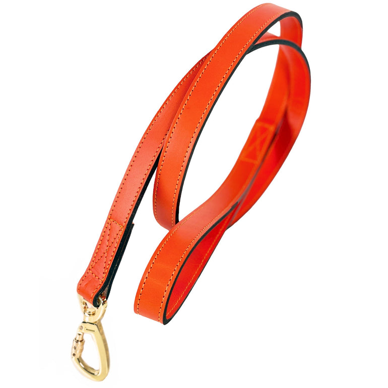 Regency Lead in Tangerine