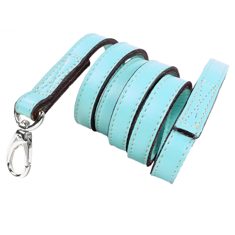 Regency Lead in Turquoise