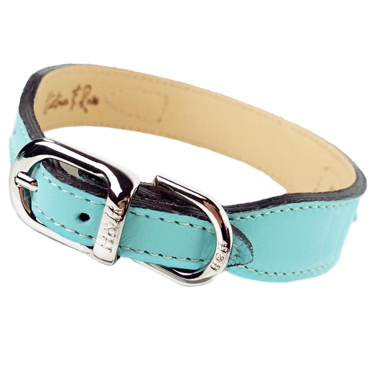 Regency in Turquoise