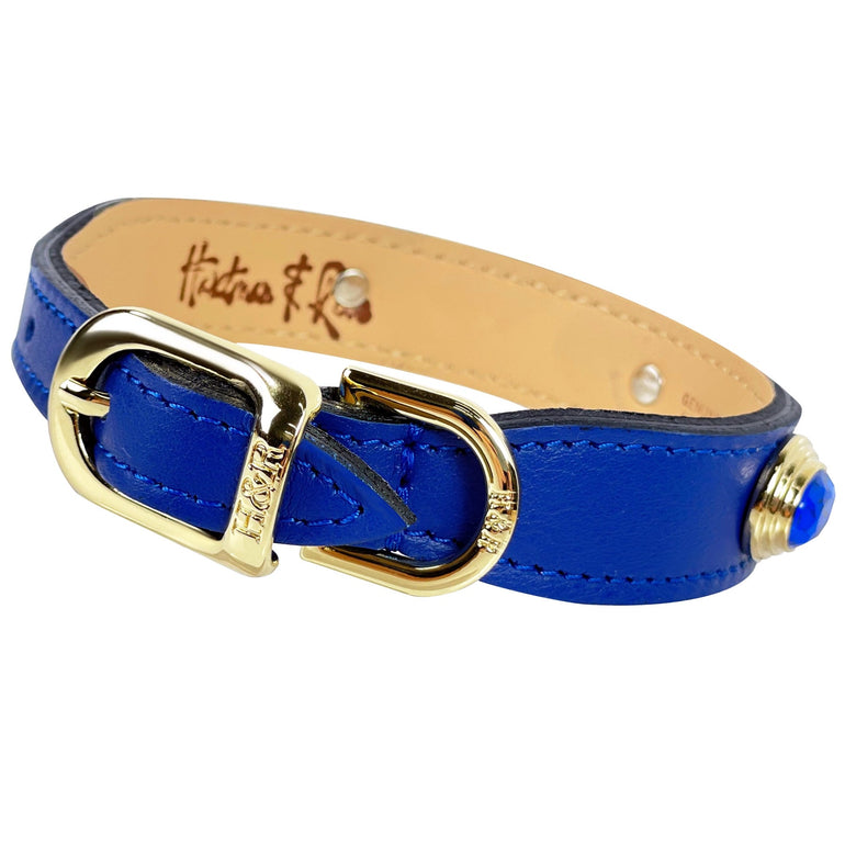 Royal in Cobalt Blue