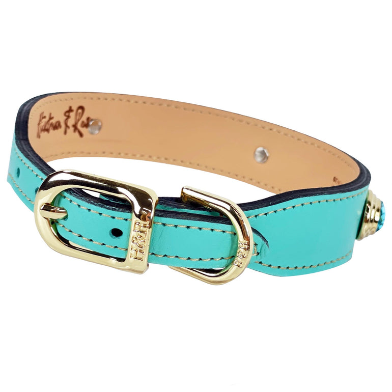 The Royal in Turquoise