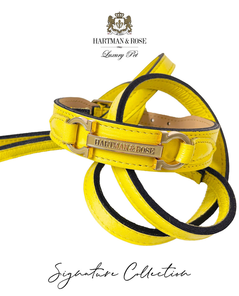 Signature in Canary Yellow