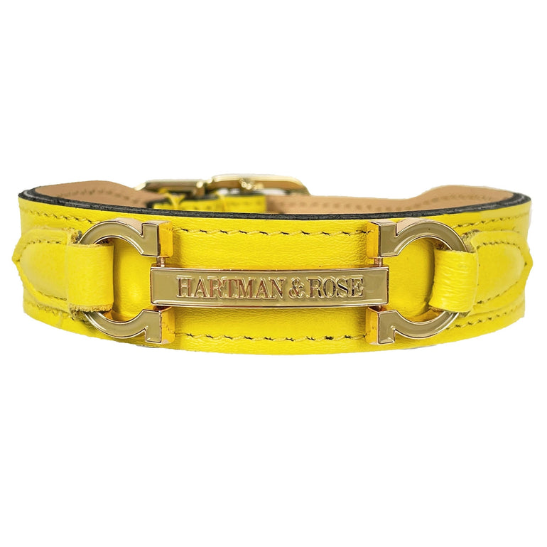 Signature in Canary Yellow